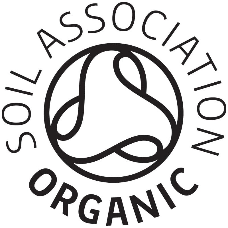 Organic Pine Nuts - Certified Organic - by Busy Beans