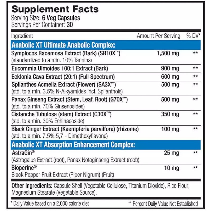 Serious Nutrition Solutions Anabolic XT