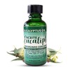 Eucalyptus Oil Aceite de Eucalipto Ciprés para Aliviar Congestión Nasal