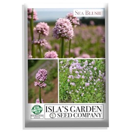 "Sea Blush" Flower Seeds for Planting, 100+ Flower Seeds Per Packet, (Isla's Garden Seeds), Non GMO & Heirloom Seeds, Scientific Name: Plectritis congesta, Great Home Garden Gift