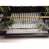 BirdCageLiners - POLY COATED- Medium Sizes -Custom Sizes- 60, 100