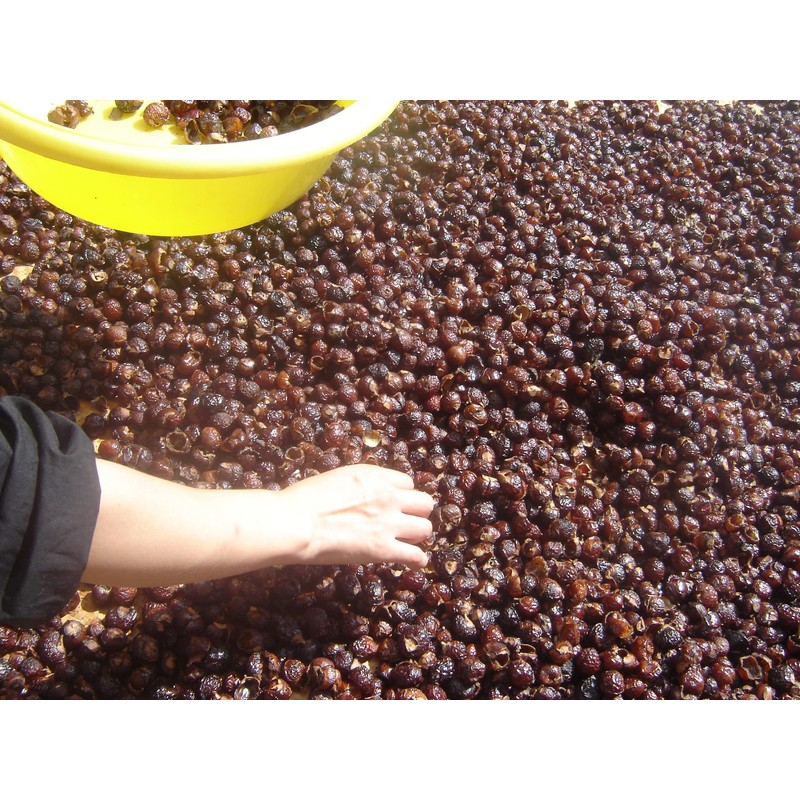 GREENWILL 1.5 Pounds Organic De-seeded Soapberry/Soap Nut with Wash Bag