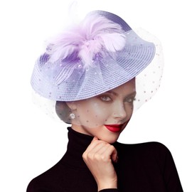 DRESHOW Fascinators Hat Mesh Veil Feathers Hat with a Headband and a Clip Tea Party Headwear for Women