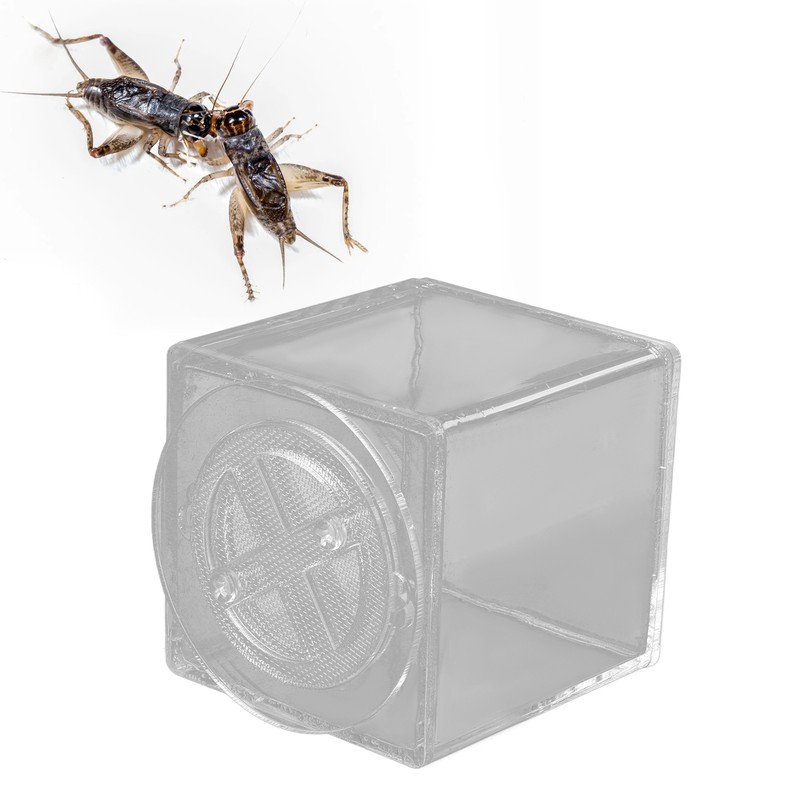 Square Insect Breeding Box Cricket Spider Reptile Insect Square Acrylic