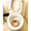 Iron Out Heavy Duty Rust Stain Remover Toilet Cleaning Tablets