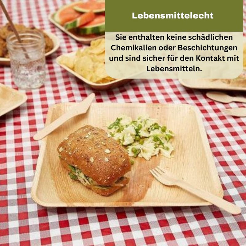 Greenkaufen 15 cm Pack of 25 Premium Organic Round Palm