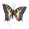 Active Aliforms Moving Butterfly - Swallowtail