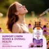Catfit Lymphatic Drainage Drops Supplements for Immune, Lymph System Support,