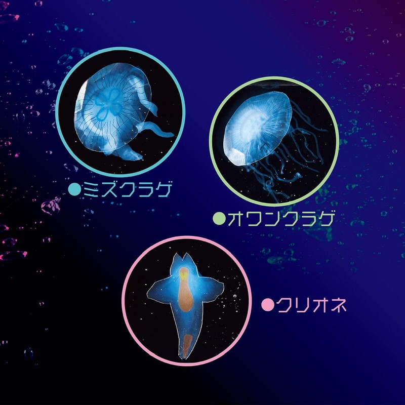 Kutsuwa PT177 Craft Kit, Let's Make Mysterious Transparent Creatures with