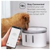 Home Zone Pet Smart Wireless Water Fountain Dispenser for Small