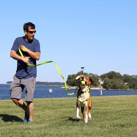 Pawtitas Pet Soft Adjustable Solid Color Nylon Puppy/Dog Collar Matching Leash and Harness Sold Separately