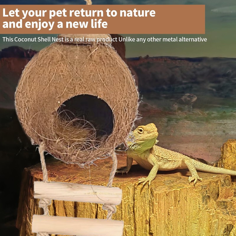 Gecko Coconut Husk Hut, Natural Coconut Shell Bird Nest with