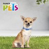 Fancy Pets Collar Galería Sky Look Tamaño Extra Chico para