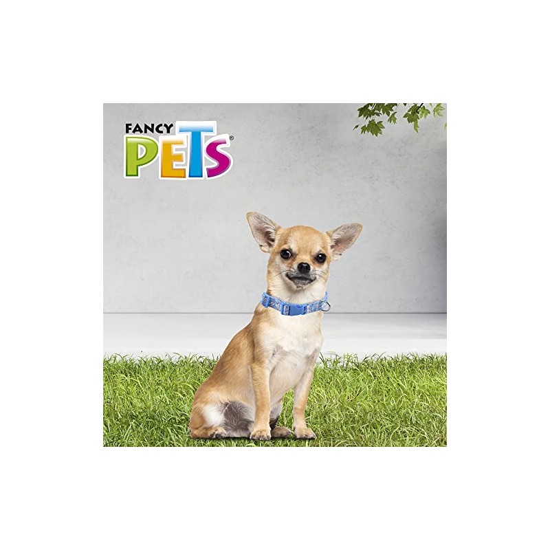 Fancy Pets Collar Galería Sky Look Tamaño Extra Chico para