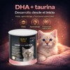 Perfect Sense Sustituto de Leche para Gatitos 360 g con