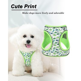 JUFOO M Green Dinosaur Pattern Dog Harness and Leash Set,No Escape Easy Walk Puppy Harnesses for Training Walking，Breathable Adjustable Puppy Vest for Small Medium Dogs, Cats (Green, M)