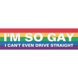 I'm So Gay Sticker, Funny  Sticker, Prank  Bumper Decal - 10 inches - Color: 6in