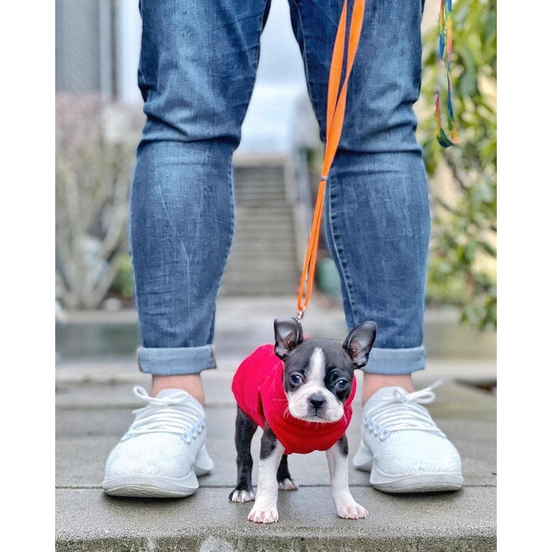 Gooby - Stretch Fleece Vest, Pullover Fleece Vest Jacket Sweater
