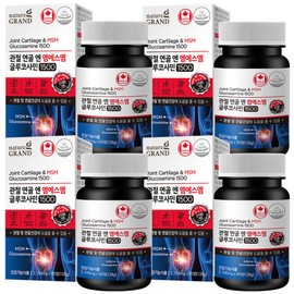 Elenital MSM MSM Joint Glucosamine 4 bottles, 4 months supply / MSM 엠에스엠 조인트 글루코사민 4병 4개월분