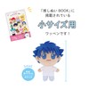 KIYOHARA Oshinui Face Applique Patch, Iron-on, S Size, GB Eyebrow