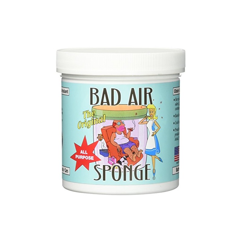 Bad Odor Air Sponge