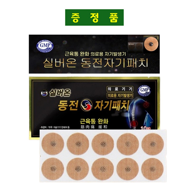 Baekse Food 프리미엄 매스틱정 위건강 위장보호 건강식품 600mg x 60정