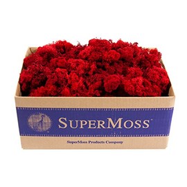 Super Moss (21785 Reindeer Moss Preserved, Red, 3lbs
