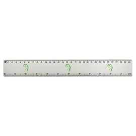 'Two Friendly Snakes' 30cm (12 Inch) White Plastic Ruler (RL00090988)