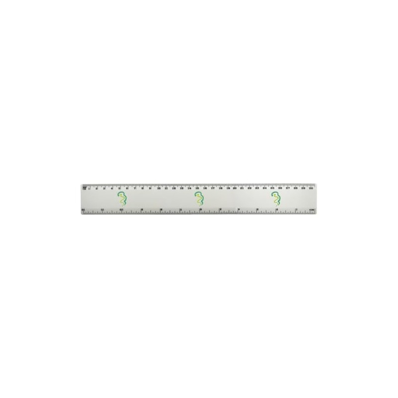 'Two Friendly Snakes' 30cm (12 Inch) White Plastic Ruler (RL00090988)