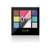 NICKA K Eyeshadow Perfect 10 Colors - AP022