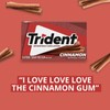 Trident Cinnamon Sugar Free Gum Pack of 3 14 Count