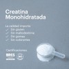 SESEN - CREATINA MONOHIDRATADA