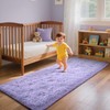 Soft Runner Rugs for Bedroom Living Room, 2x6 Plush Fluffy