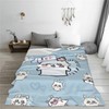 Chiikawa Blanket, Flannel Soft Fluffy Blanket, Single, Dust Mite Resistant,