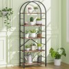 Shintenchi Shintenchi Bookshelf, Arched Bookshelf 5 Tier Bookcase, Tall Shelf