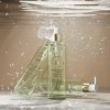 Lactomoa [락토모아] 케스피어 알로에젤 120ml 4개입 Lactomia Aloe Vera Gel