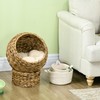 PawHut Handwoven Elevated Cat Bed with Soft Cushion & Egg