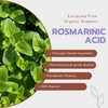 LifeLink Rosmarinic Acid Complex | 120 capsules | Vegan, Non-GMO,