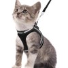 Cat Harness and Lead Set for Walking Adjustable Soft Kitten