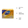 Dial Gold Antibacterial Deodorant Soap, 2 Pack, Total Net Wt