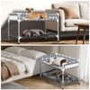 Bedside Window Dog Bunk Bed - Double Elevated Human Dog