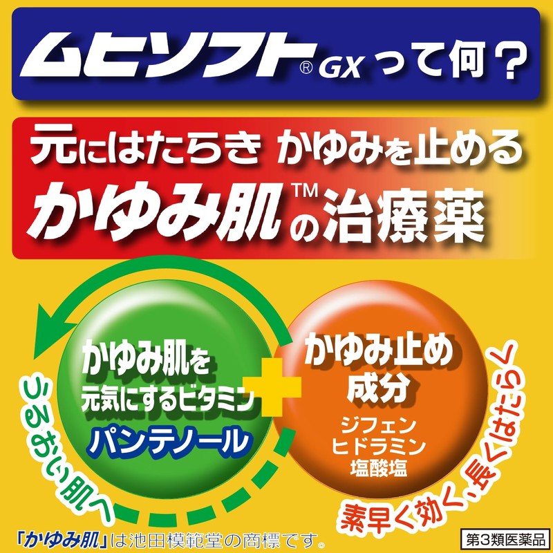 【第3類医薬品】かゆみ肌の治療薬 ムヒソフトGX乳状液 120mL