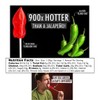 Lil' Nitro: The World's Hottest Gummy Bear & Toe of