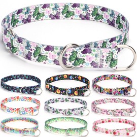 haoyueer Training Collar, No Pull Martingale Collar, Slip On Collar with Sliding Stop Ring for Small Medium Large Dogs (S, Butterfly)