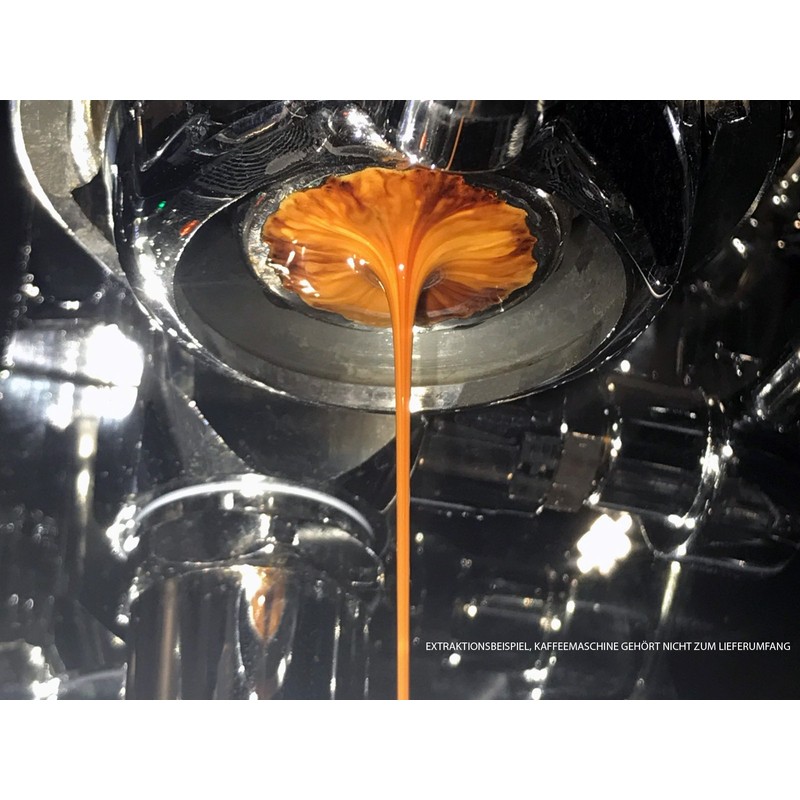 Scarlet Espresso Distributor Grande DUO for baristas perfect extraction with