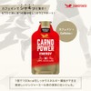 カルノパワーENERGY（1個） (10個箱入り, ジンジャーエール)