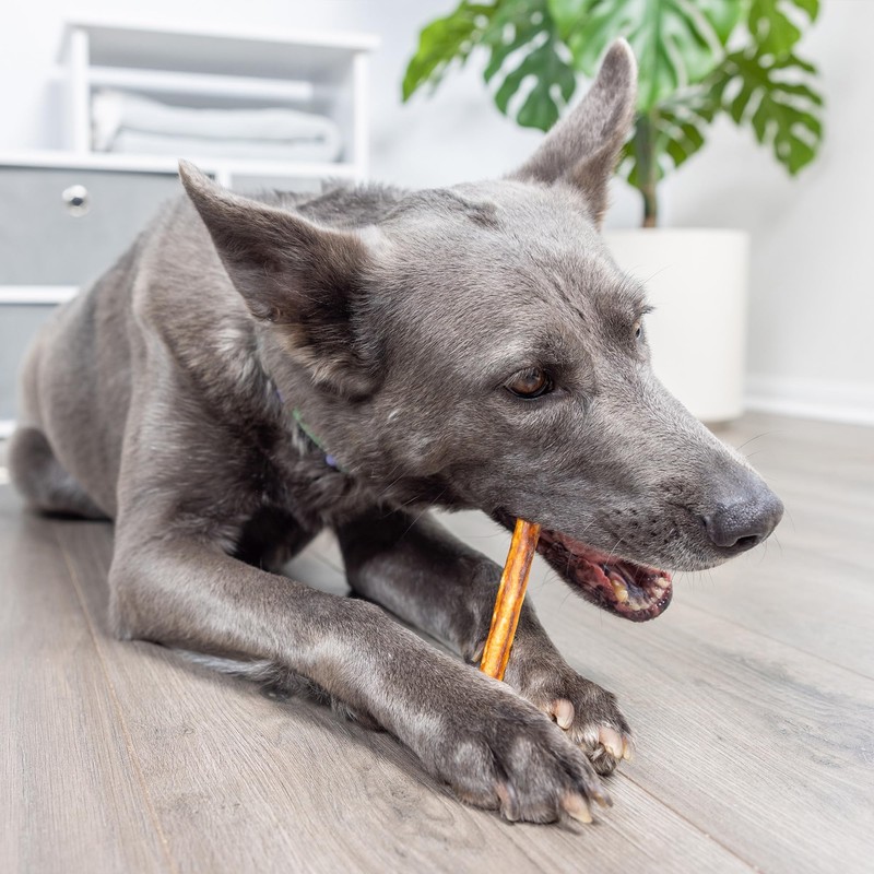 Wild Eats Real Salmon Collagen Sticks for Dogs, (15ct, 1cm