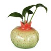 Gatuida Fruit Shaped Ceramic Vase for Dining Table Hydroponic Plant