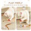 DEFGNOP Cat Toy Set, Chicken Feather Rubber Bouncy Ball 6