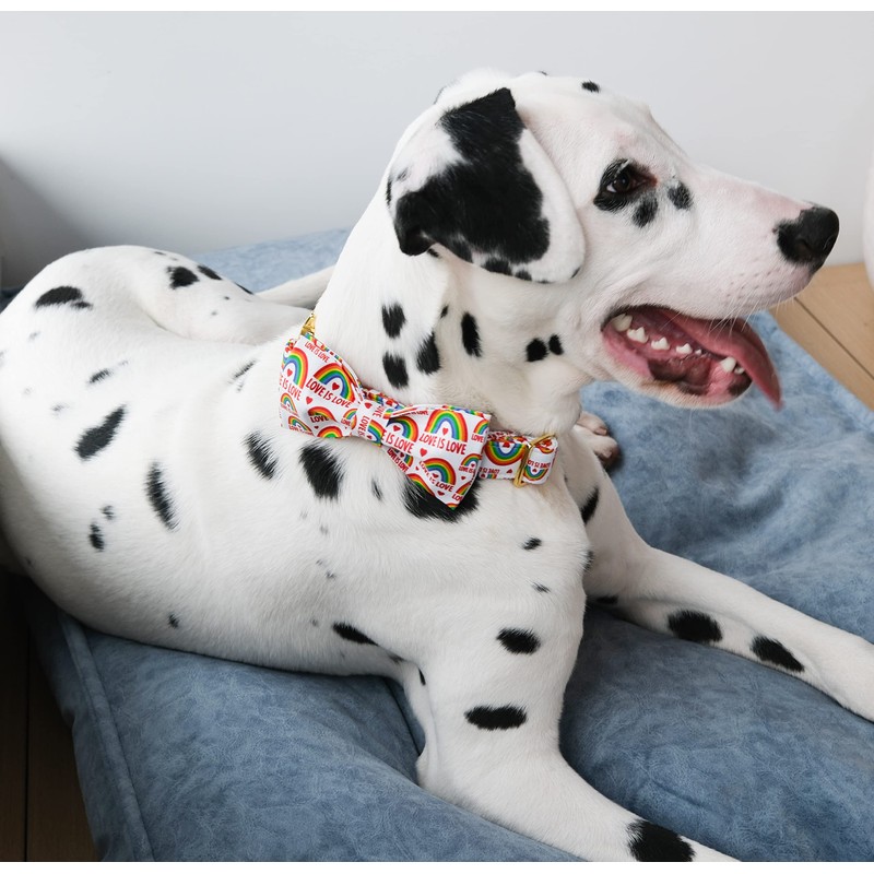 Unique style paws Pride Day Rainbow Dog Collar, Love is